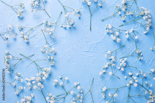 Frame  from fresh white gypsofila  flowers on blue textured background. photo