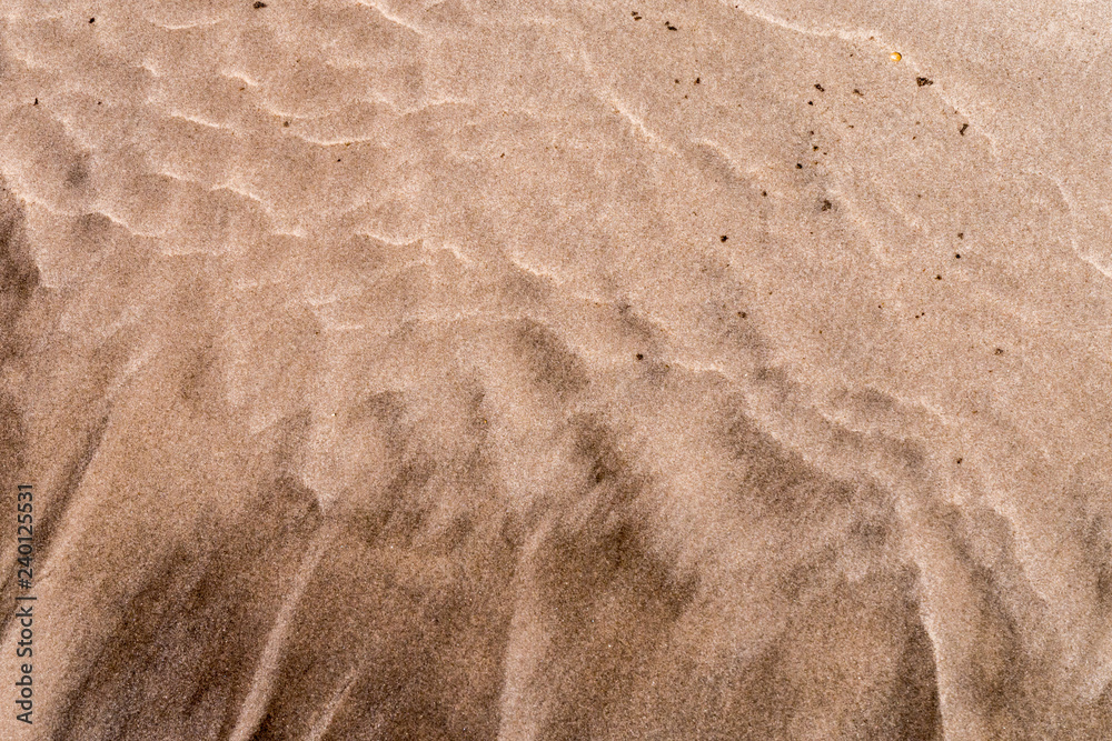 Cradle Coast - Tasmanien - Sandstrand - Detail Cradle Coast - Tasmanien - Sandstrand - Detail