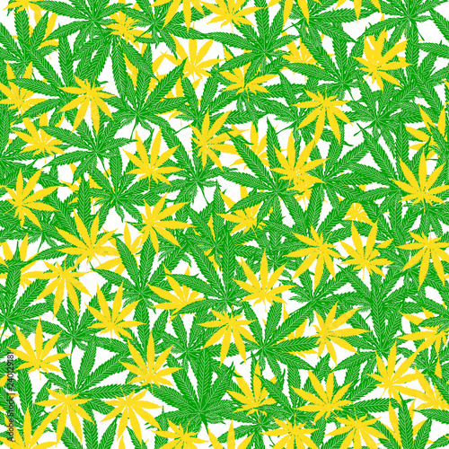 Seamless pattern with leaves of hemp, marijuana, hashish. Marijuana leaf. Cannabis plant
