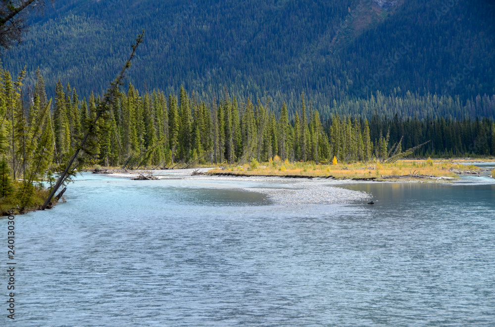 秋のカナディアンロッキー 黄葉のクートニー バレー クートニー国立公園 カナダ ブリティッシュ コロンビア州 Stock Photo Adobe Stock