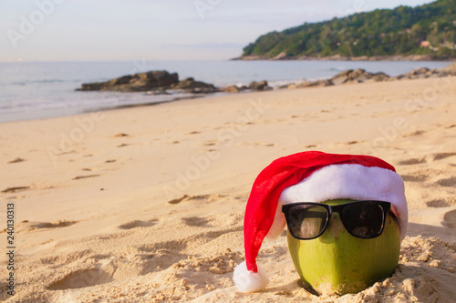Coconut Holiday with glasses and Santa Claus hat, concept Christmas on the beach Tropical design made in Phuket, Thailand.