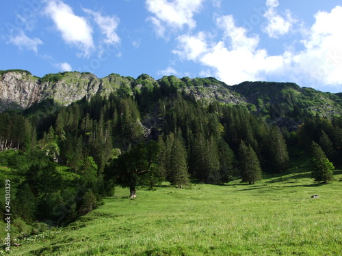 Ponds and hills in the valley Weisstannenthal - Canton of St. Gallen, Switzerland photo