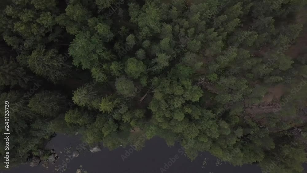 Aerial survey epic forest panoramas in Vyborg, Mon Repos park. Monrepos north epic coniferous forest panoramas footage. Top down view rocky island. aerial video coniferous tree and island the dead. Aerial survey epic forest panoramas in Vyborg, Mon Repos park. Monrepos north epic coniferous forest panoramas footage. Top down view rocky island. aerial video coniferous tree and island the dead.