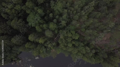 Aerial survey epic forest panoramas in Vyborg, Mon Repos park. Monrepos north epic coniferous forest panoramas footage. Top down view rocky island. aerial video coniferous tree and island the dead. photo