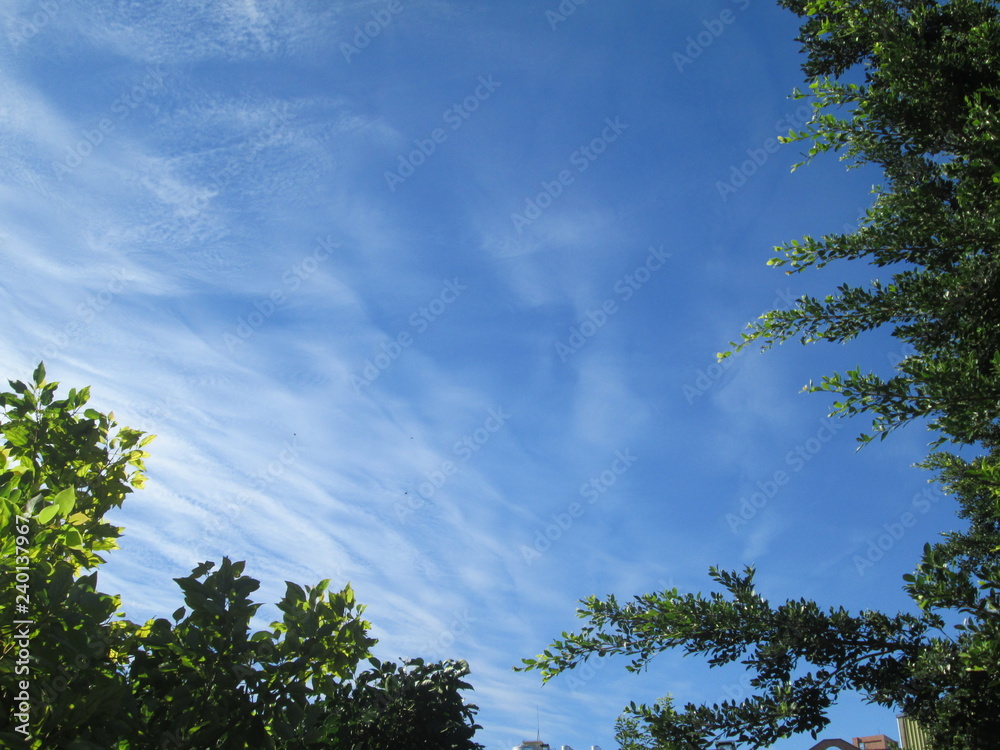Fototapeta premium Soft blue skies and magnificent clouds