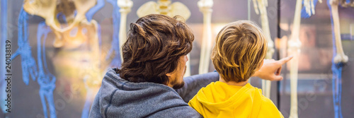 Dad and son are watching the skeletons of ancient and modern people. Human evolution is the evolutionary process that led to the emergence of anatomically modern humans BANNER, LONG FORMAT