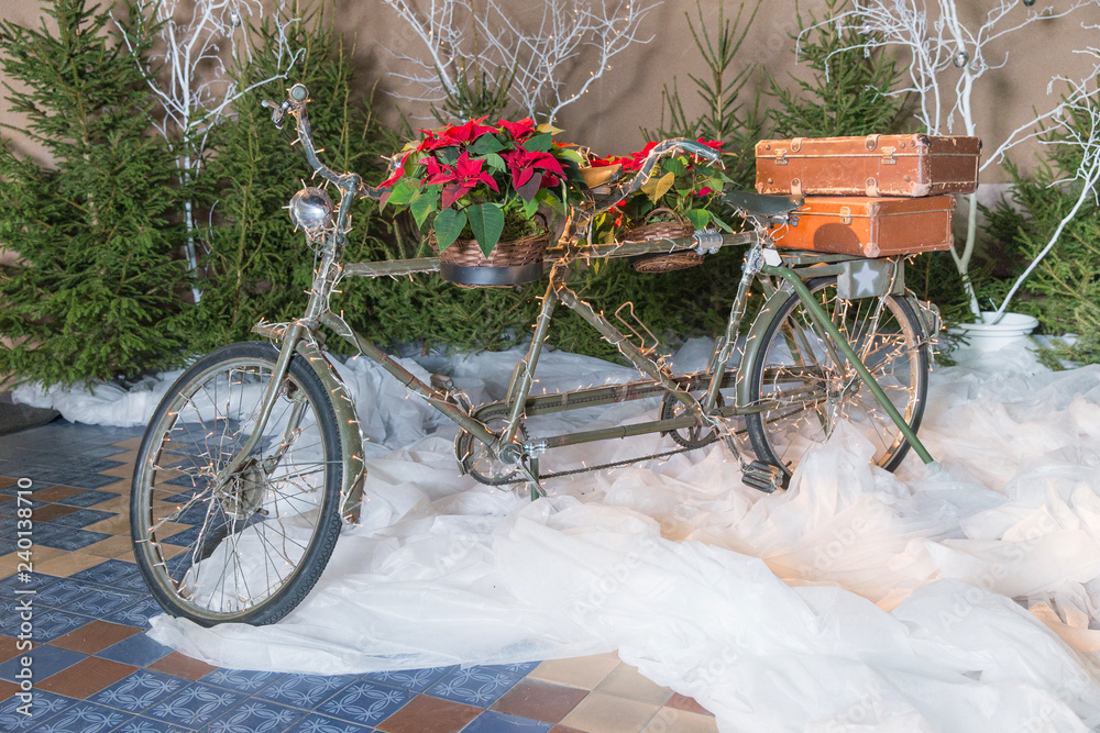 Old retro tandem bicycle and christmas decors, red flowers. Travel photo 2018. december.