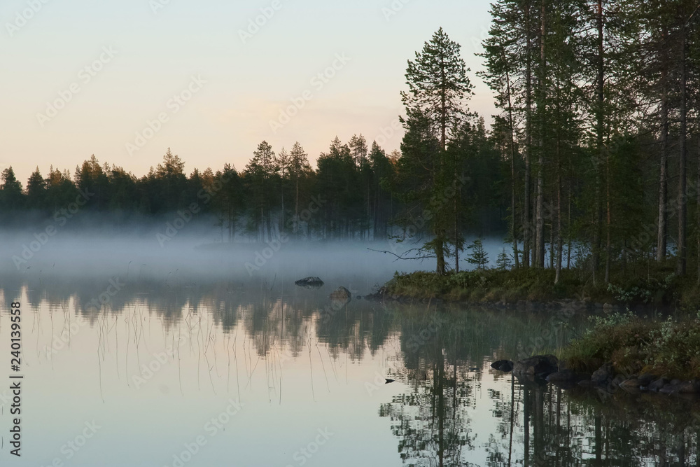 summer evening scene