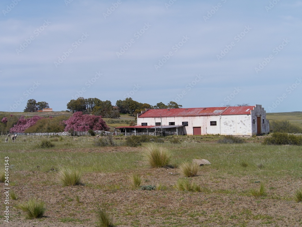 A farm in the middle of the Peninsula Valdes
