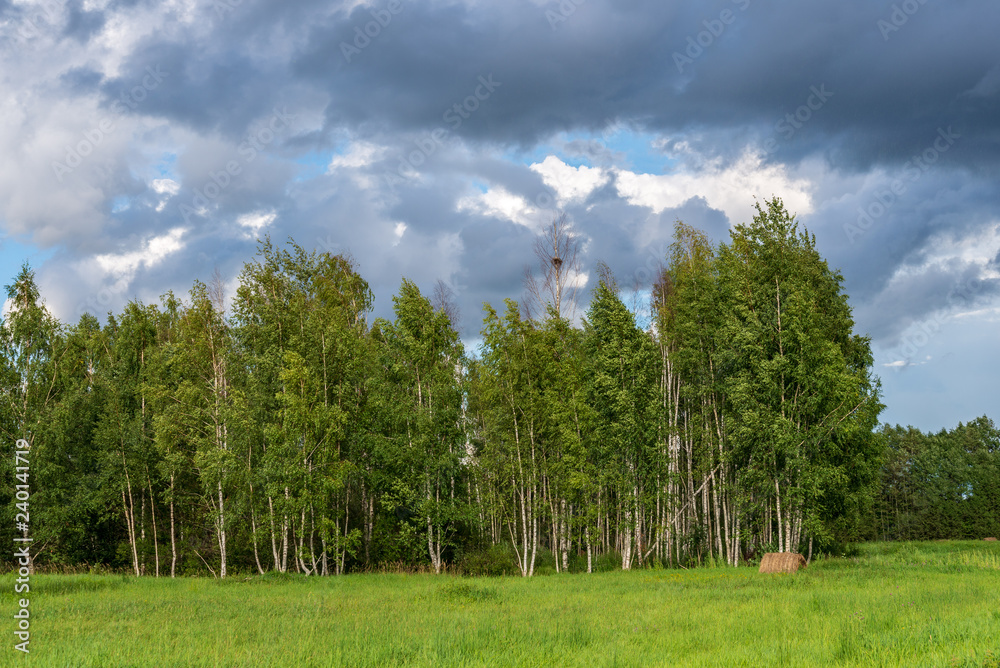 empty countryside landscape in autumn with fields and meadows and rare trees in background