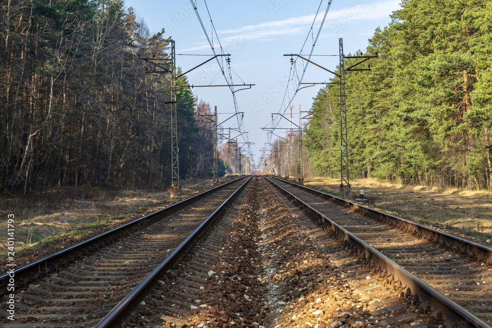 railroad tracks in misty forest