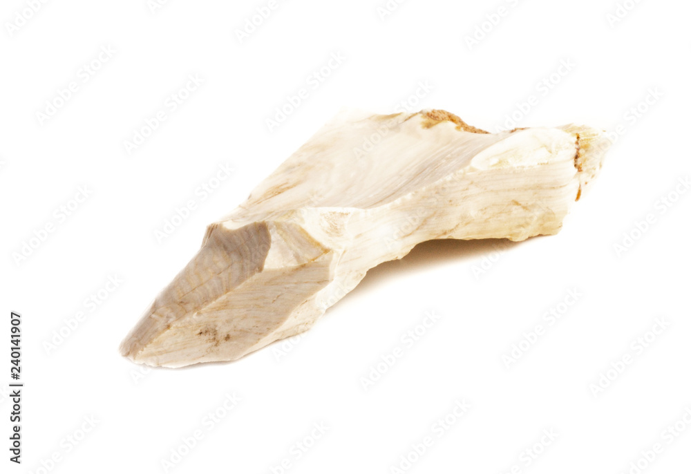 Natural piece of petrified wood in opal on white background isolated Natural piece of petrified wood in opal on white background isolated