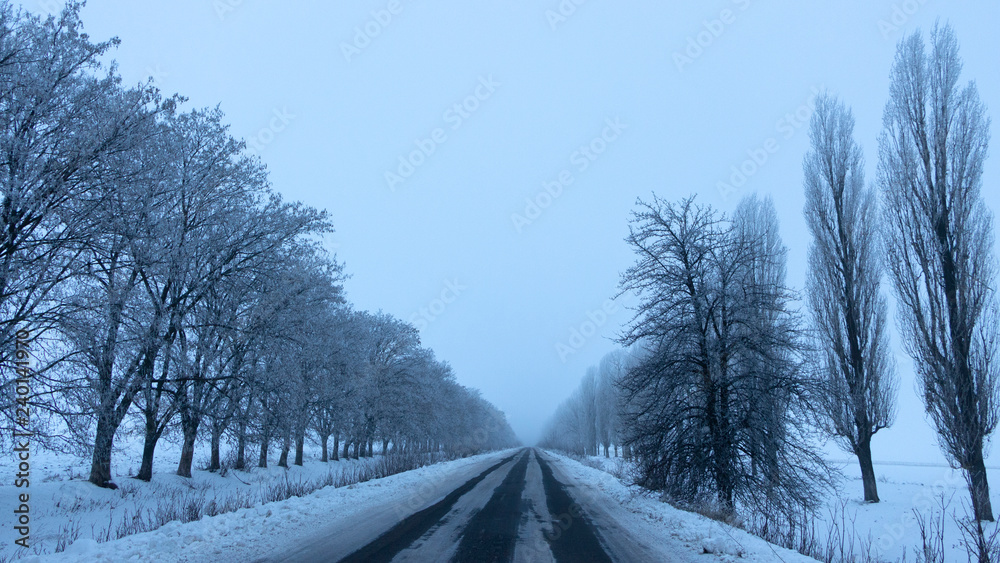 Snow-covered empty asphalt road with hoar-frost trees on both sides Snow-covered empty asphalt road with hoar-frost trees on both sides