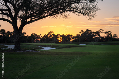 Golf Greens in Sunset