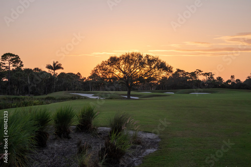 Golf Greens in Sunset