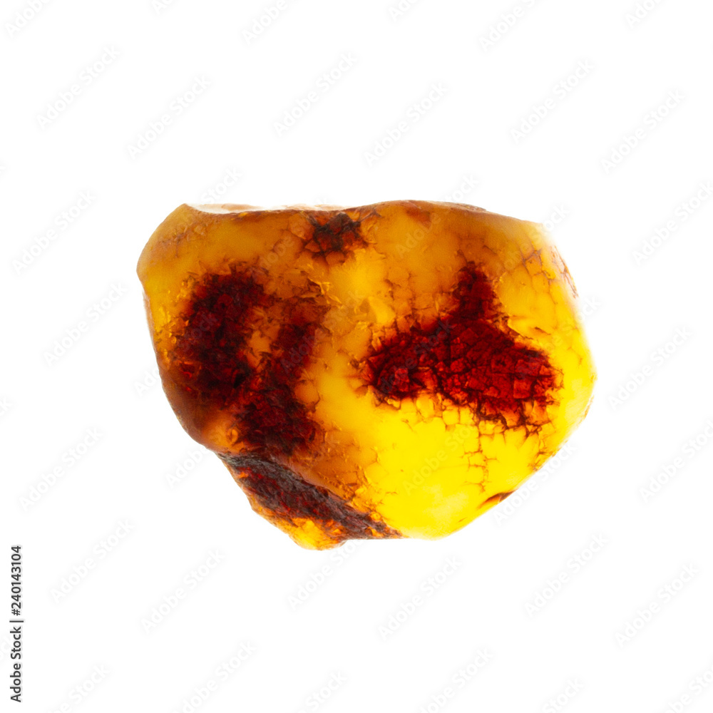 Untreated piece of natural amber on white background isolated Untreated piece of natural amber on white background isolated