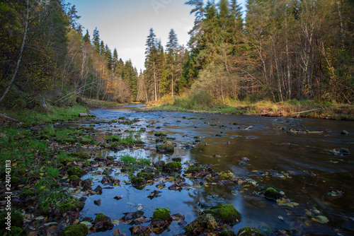 Fototapeta Naklejka Na Ścianę i Meble -  rocky forest river with low stream in summer