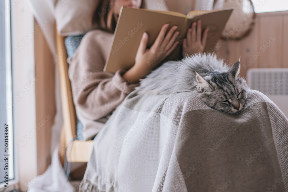 Girl relaxing with cat at home - obrazy, fototapety, plakaty 