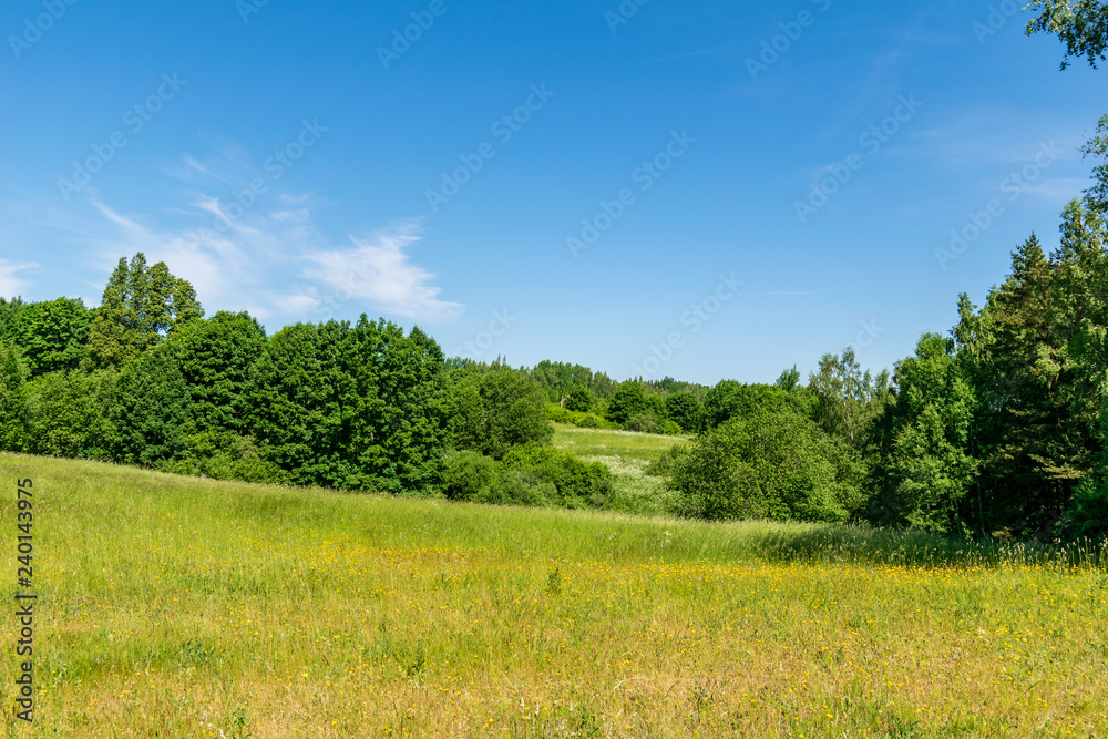 empty countryside landscape in autumn with fields and meadows and rare trees in background empty countryside landscape in autumn with fields and meadows and rare trees in background