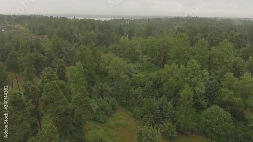 Aerial survey small town in pine forest, Russia, cottages in pine treesnorth footage. Aerial footage forest panoramas foggy thick north forest. aerial video coniferous, dense forest pine tree. photo