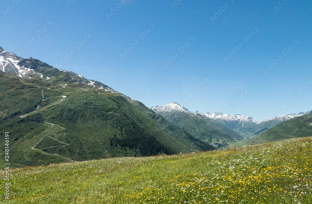Spring time in Switzerland. Flowering meadow and snow-capped mountains.