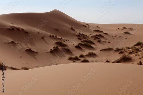 The beauty of the Saharan dunes around Merzouga  Morocco