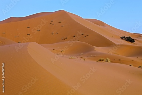 The beauty of the Saharan dunes around Merzouga, Morocco
