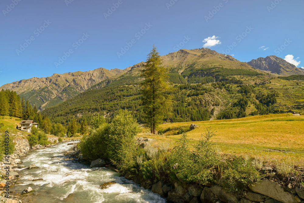 Panoramic view of a mountain landscape with a stream among fields and forest covered peaks in summer, Cogne, Gran Paradiso, Aosta Valley, Alps, Italy