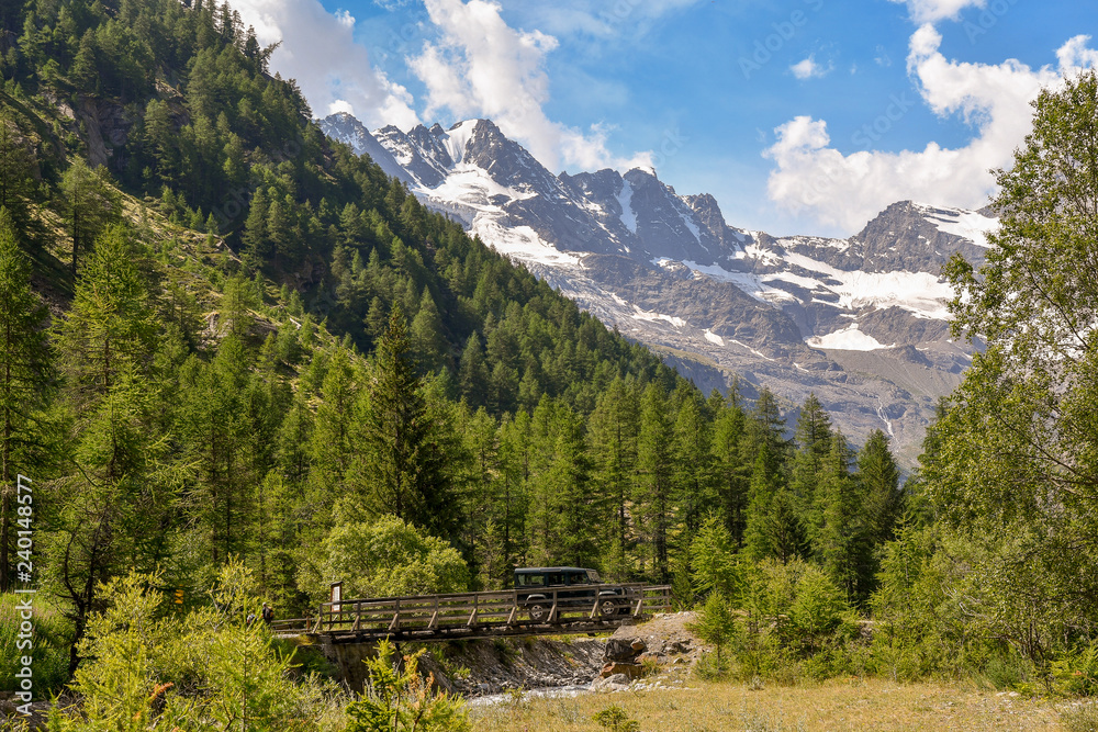 Panoramic view of a mountain landscape with a bridge above a stream, pine forest and snowcapped peaks in the background, Gran Paradiso, Cogne, Aosta Valley, Alps, Italy