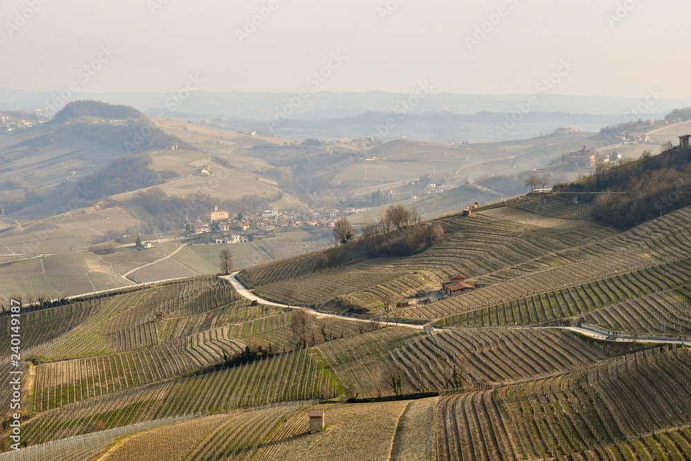 Panoramic view of a vineyard landscape with a village in the background, La Morra, Langhe, Piedmont, Italy 