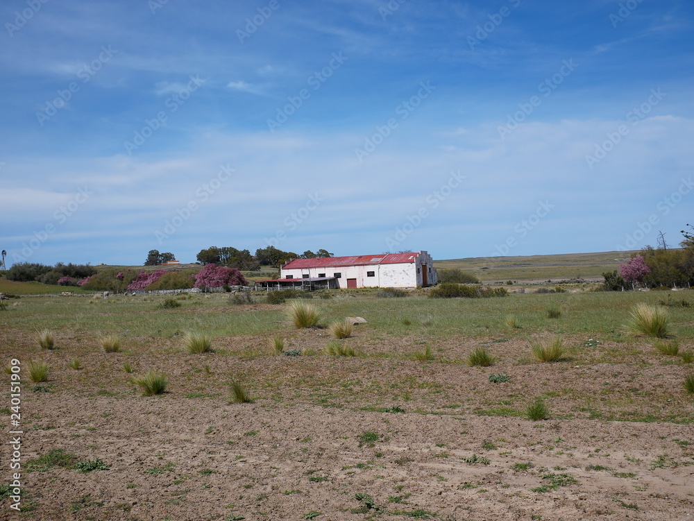 A farm in the middle of the Peninsula Valdes