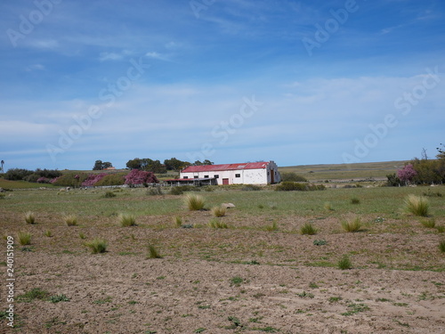 Obraz na płótnie A farm in the middle of the Peninsula Valdes w salonie