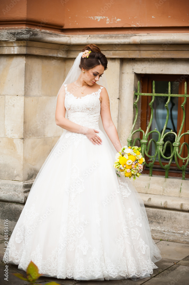 Beautiful bride in wedding dress near castle Beautiful bride in wedding dress near castle