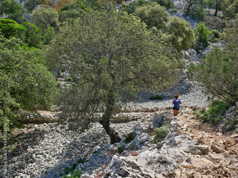 The hiking path to Cala Goloritze and Aguglia, Sardinia