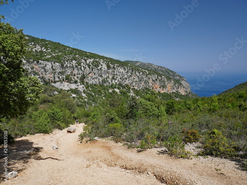 The hiking path to Cala Goloritze and Aguglia, Sardinia photo