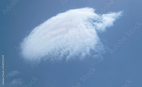 Obraz na plátne strange windblown isolated cloud in the shape of a flying bird in a pure blue sk