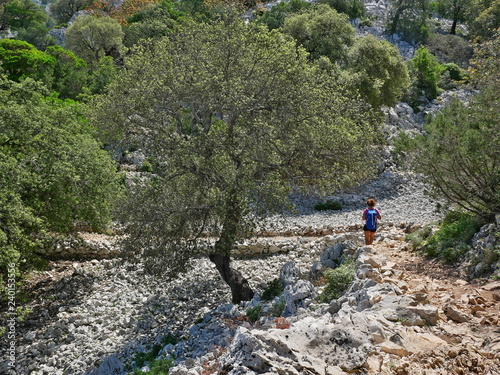 Obraz na płótnie The hiking path to Cala Goloritze and Aguglia, Sardinia w salonie