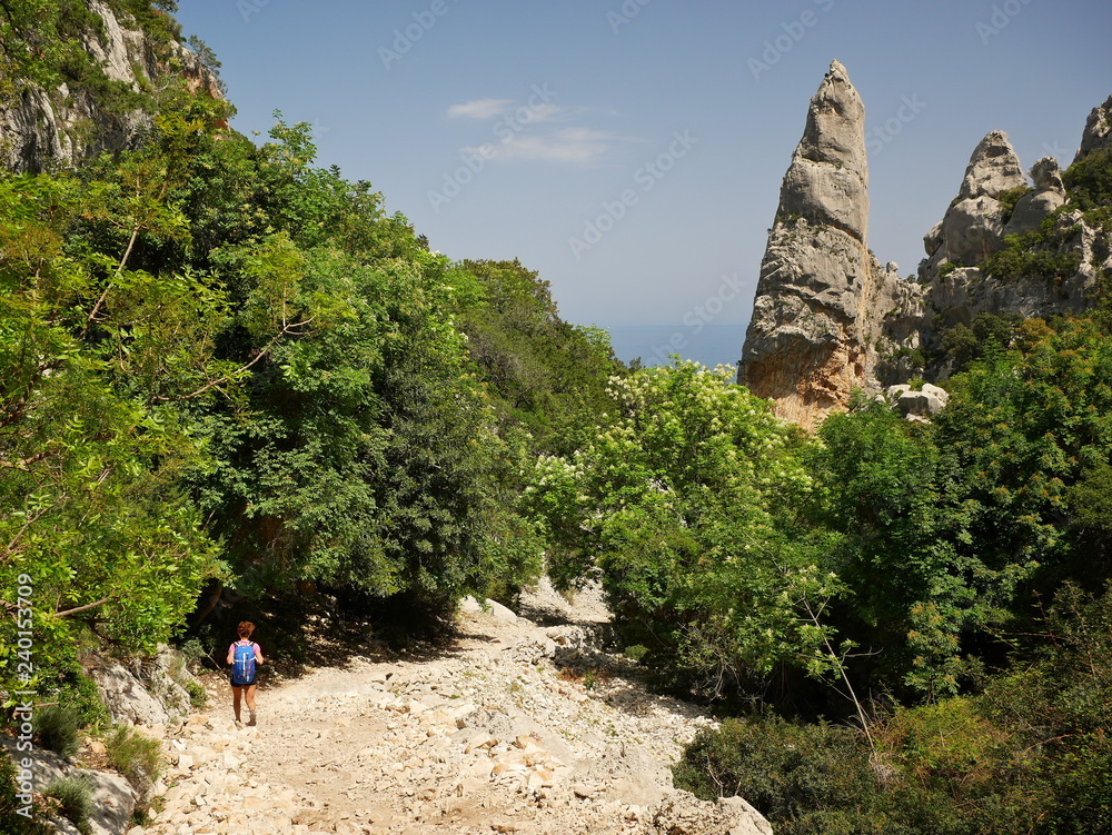 The hiking path to Cala Goloritze and Aguglia, Sardinia