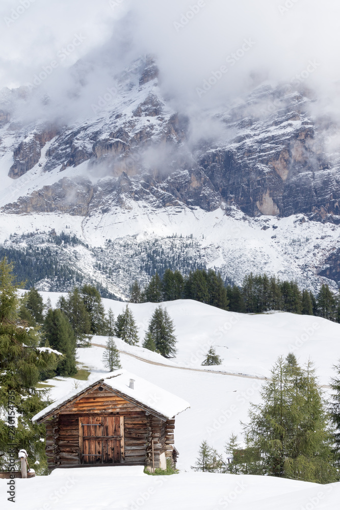 white,blue,house,holiday,forest,snow,sky,tourism,outdoor,travel,mountain,nature,mountains,alpine,landscape,snowy,meadows,log cabin,alps,italy,europe,winter
