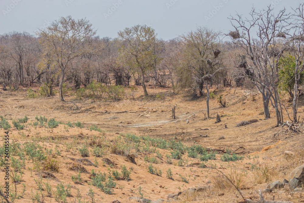 Motswari River Valley Motswari River Valley