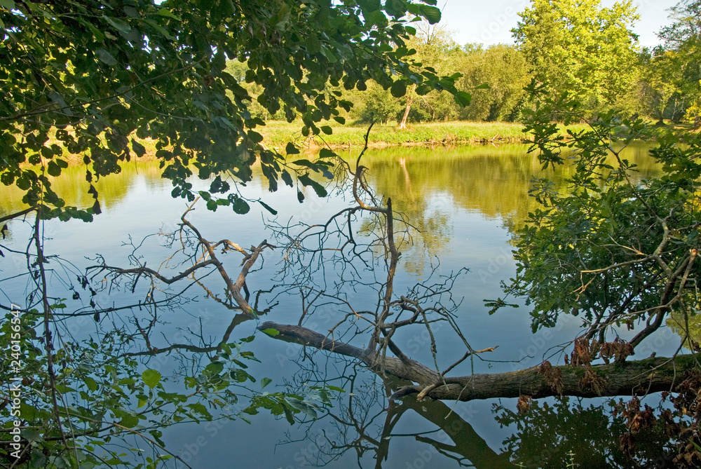 Fototapeta premium Etang des Gravières (DAX)