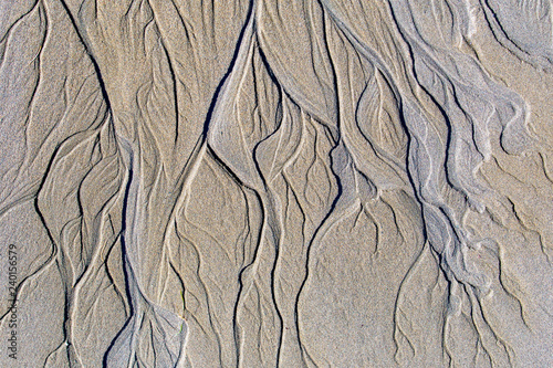 Water lines in sand on a beach. They resemble veins, or rivers seen from space, and flow from top to bottom.