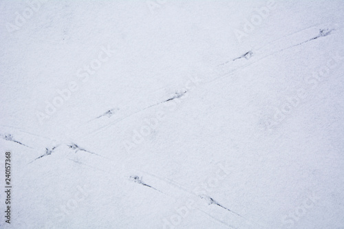 The texture of the snow from the bird footprints