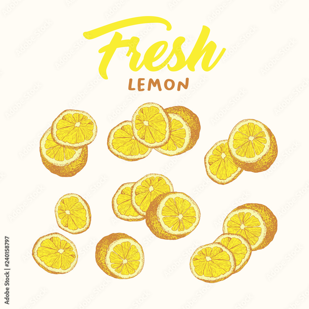 Fresh lemon hand drawn vector illustrations set. Handwritten calligraphy, lettering. Sketch fruits clipart collection. Sliced lemons engraving style drawing. Isolated citrus color design elements