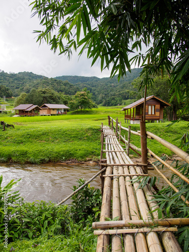 Wide view of a bamboo bridge crossing a stream leading to houses among hilly rice paddies. Vertical orientation. Mae Chaem, Chiang Mai, Thailand. Travel and tourism.