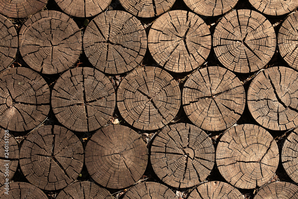 Fototapeta premium Paving made of wooden logs