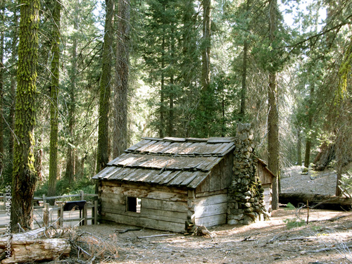 Redwood Log Cabin in Yosemite National Park © unmilkedcow