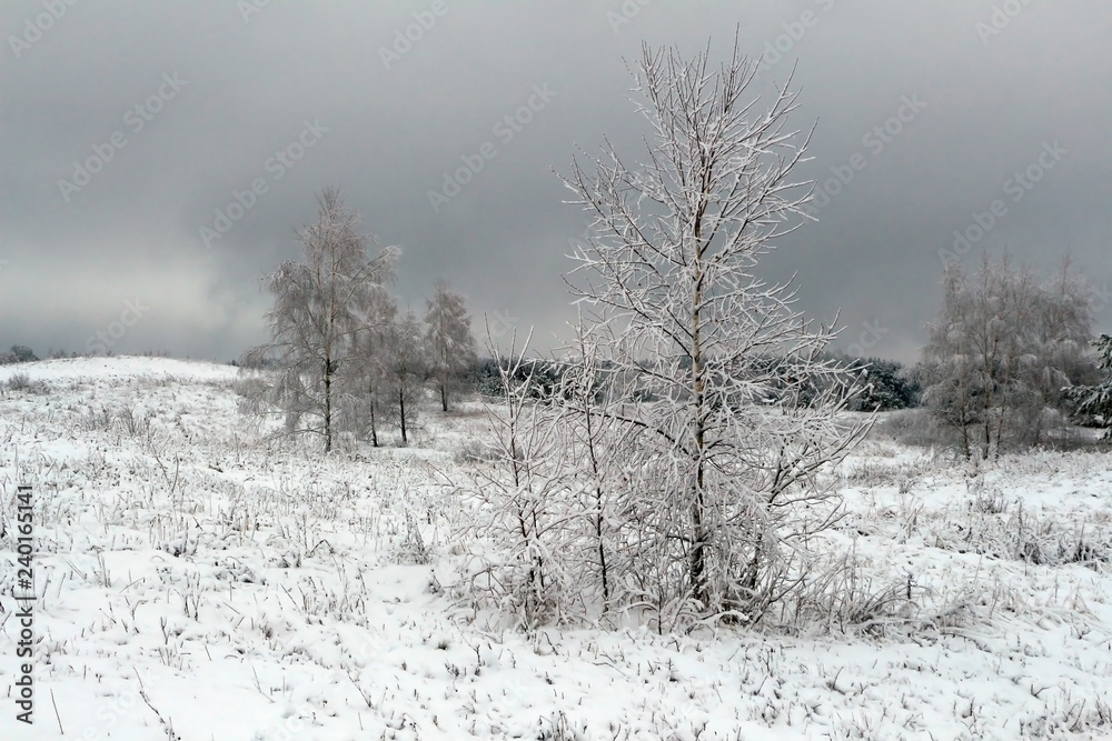 Beautiful winter landscape with snow-covered trees and fog. Beautiful winter landscape with snow-covered trees and fog.