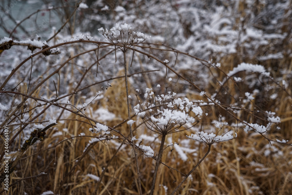 Winterpanorama. Winter. Wintarstrasse. Winterurlaub.
