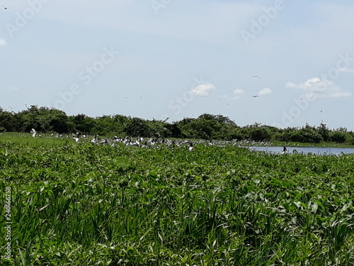Paisagem